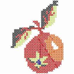 Cross Stitches Embroidery Design 2